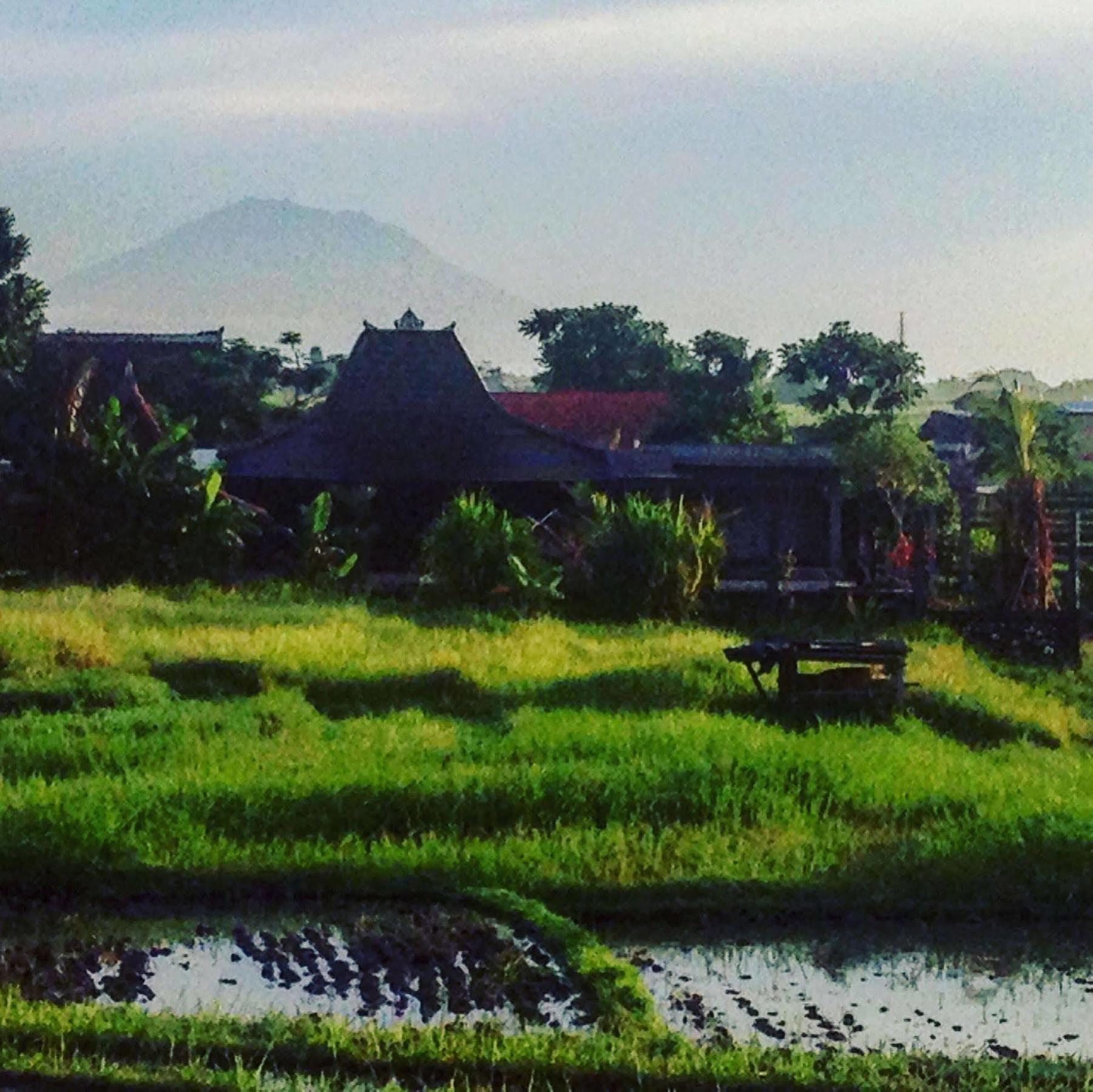 Oasis Canggu Bali Hotel Luaran gambar